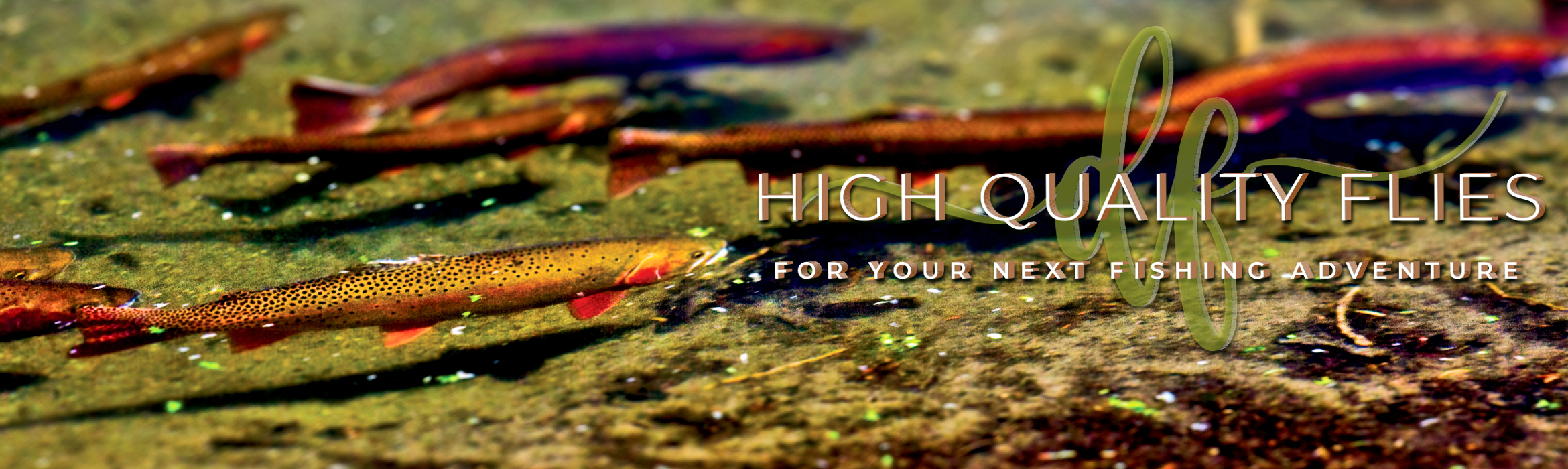 Nothing Discount About Our Flies Except The Price